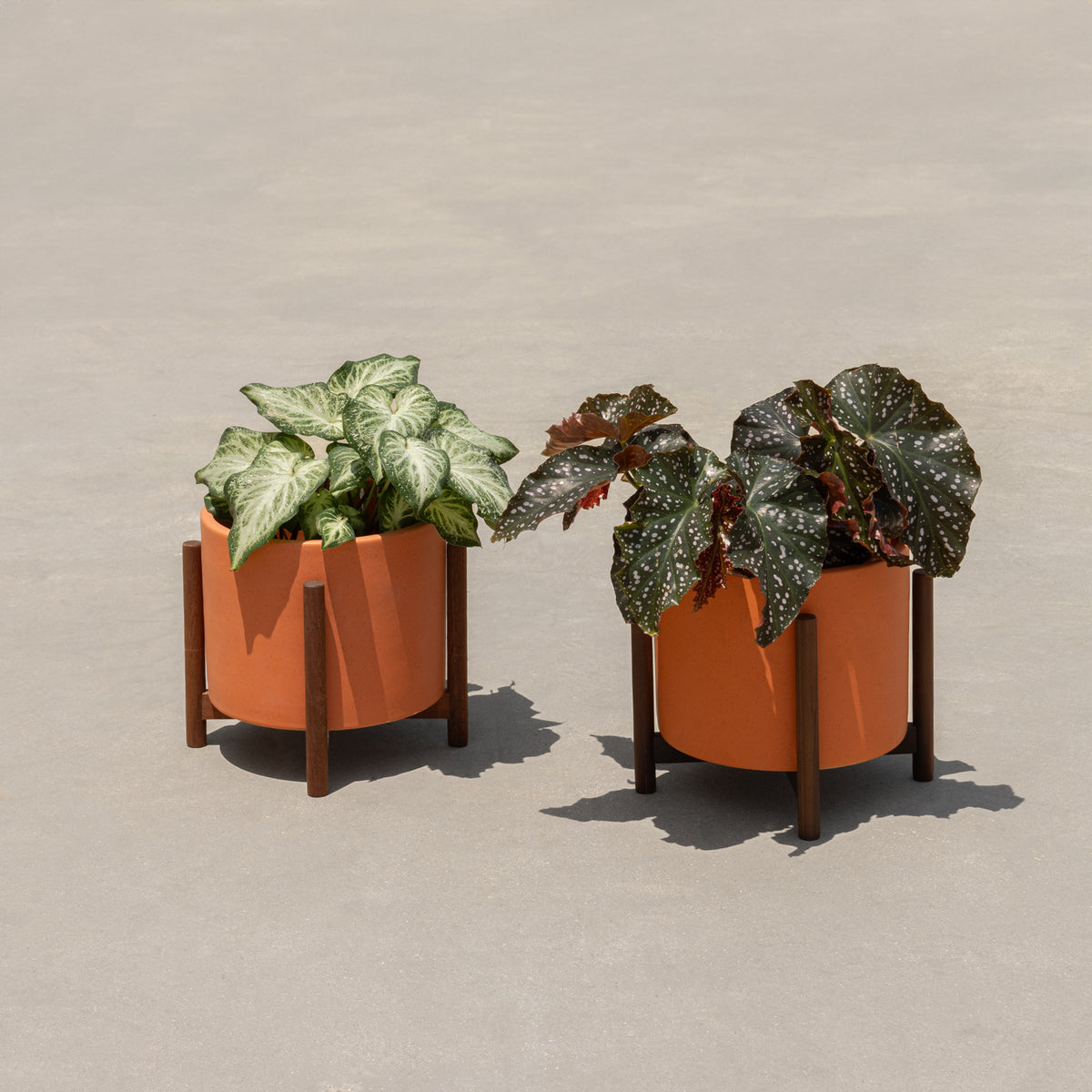 Case Study® Ceramics Table Top Cylinder Bundle 2-Pack