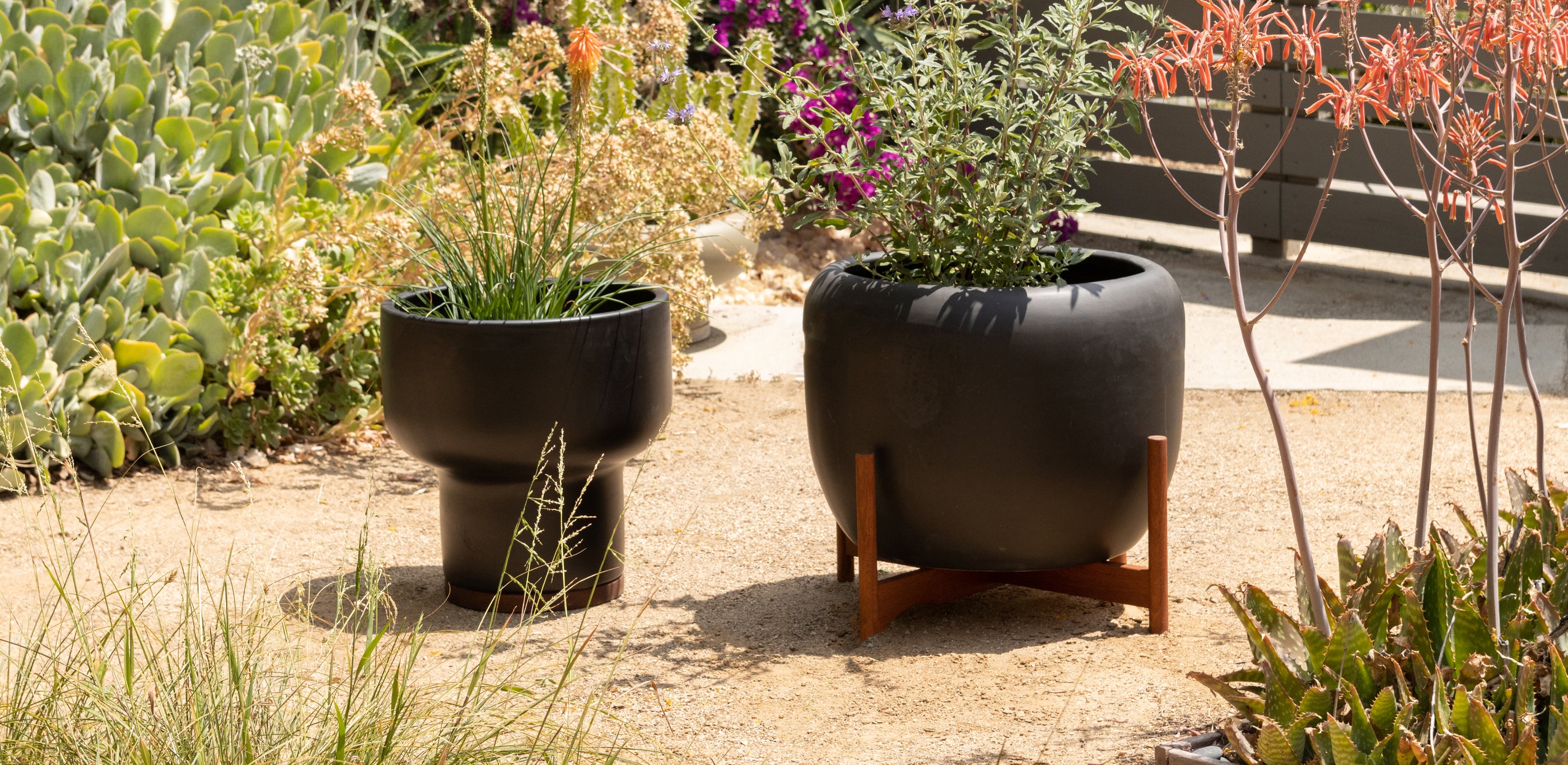 Case Study XL Drum Planter - Thumbnail 4