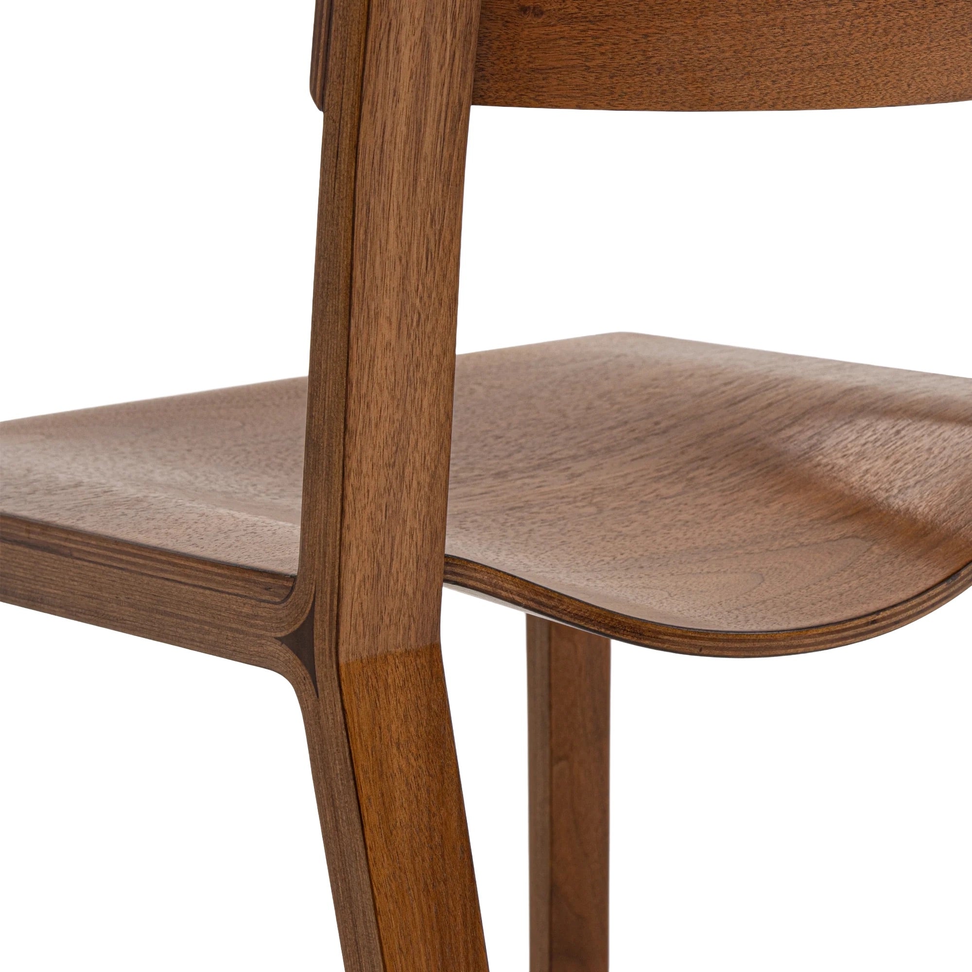 Modernica
