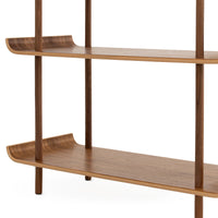 Alpine Shelf
