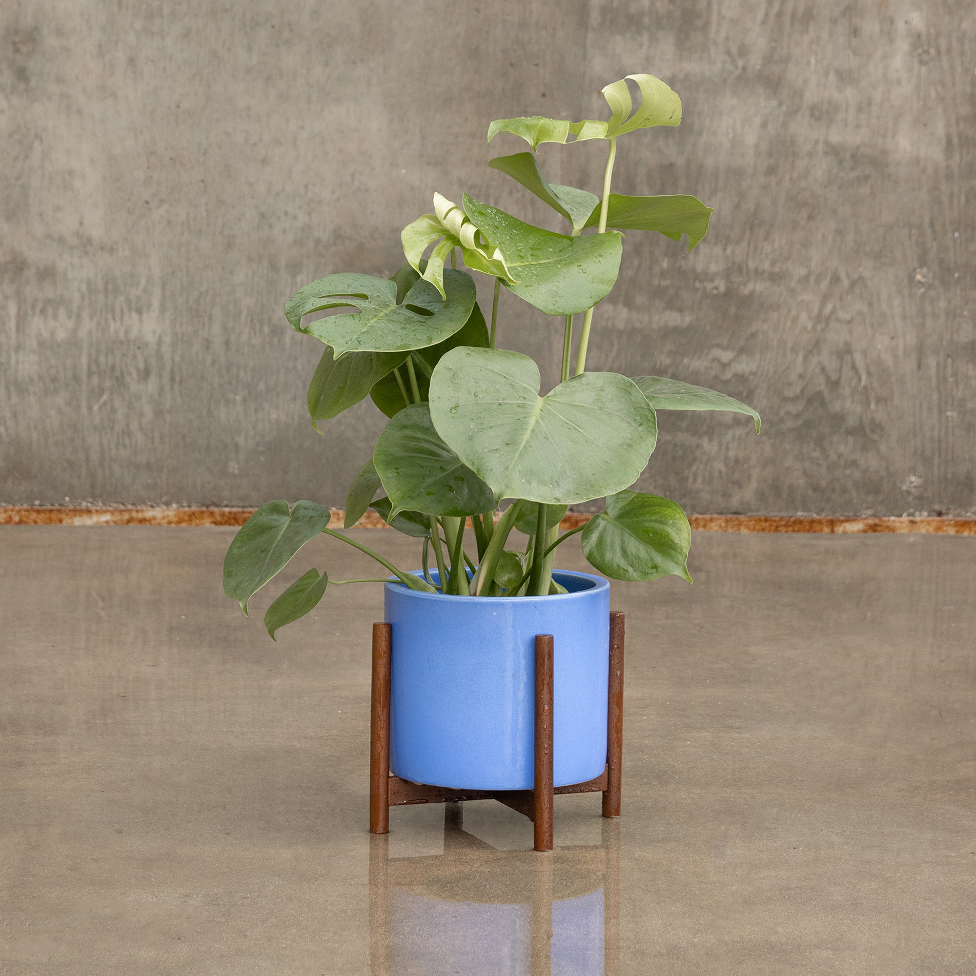 Case Study® Ceramics Table Top Cylinder with Stand – Modernica Inc