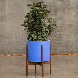 Ceramic Azul Wood Stand