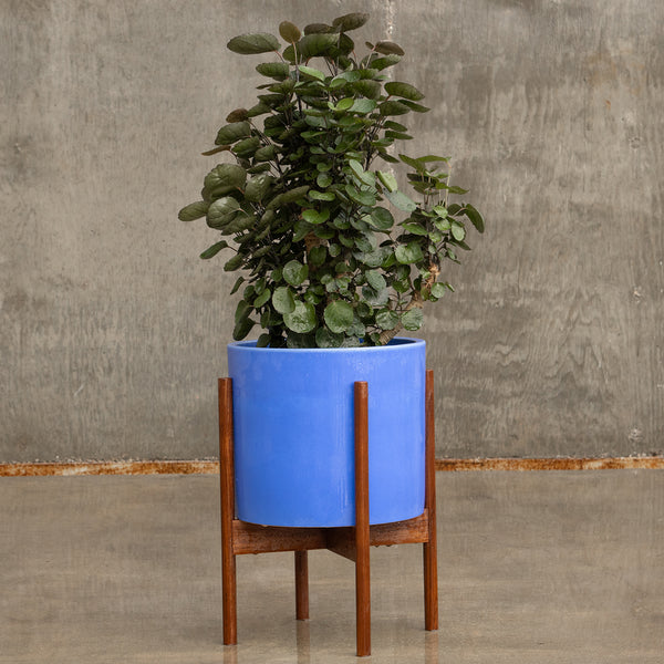 Case Study® Ceramics Small Cylinder with Stand – Modernica Inc