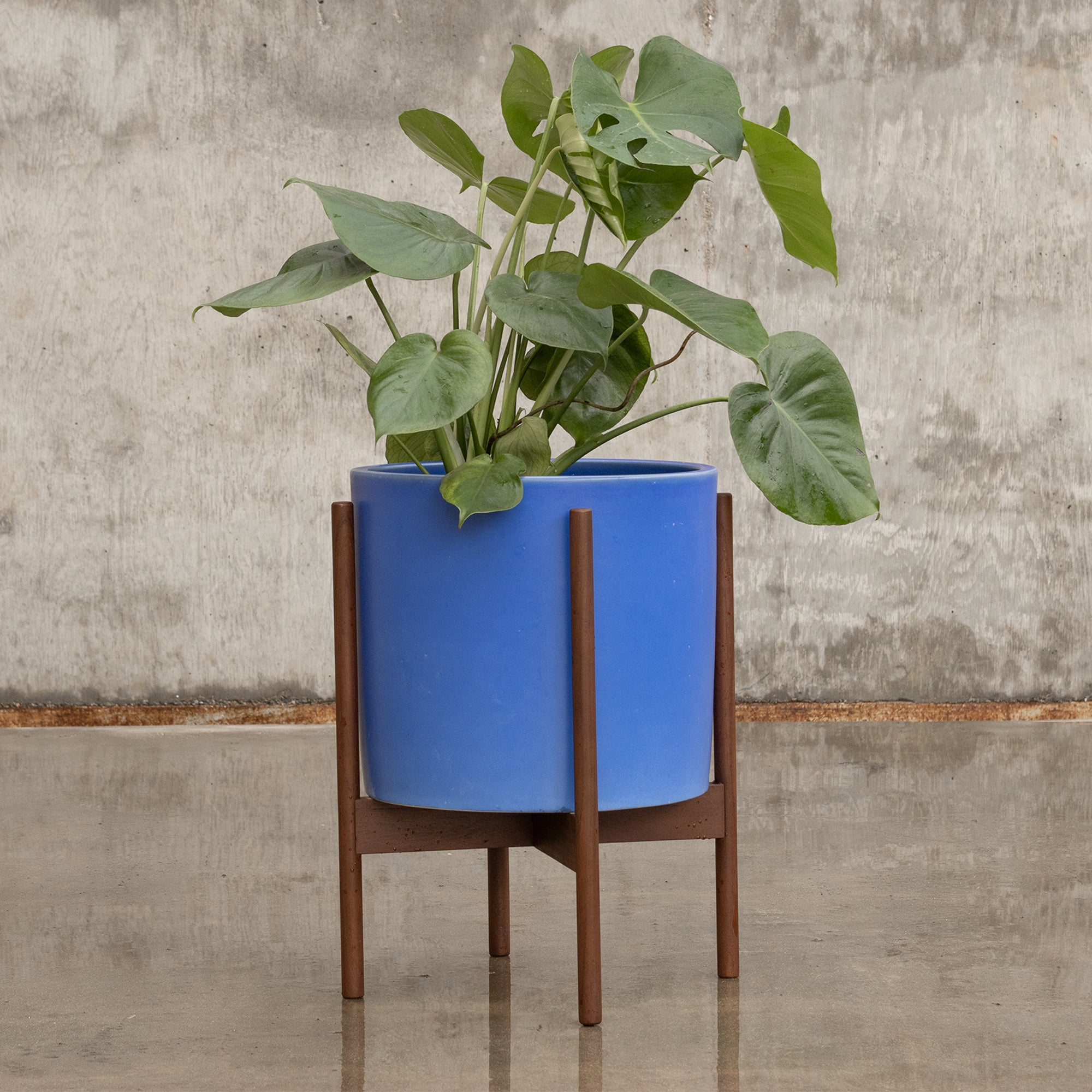 Case Study® Ceramics Large Cylinder with Stand – Modernica Inc