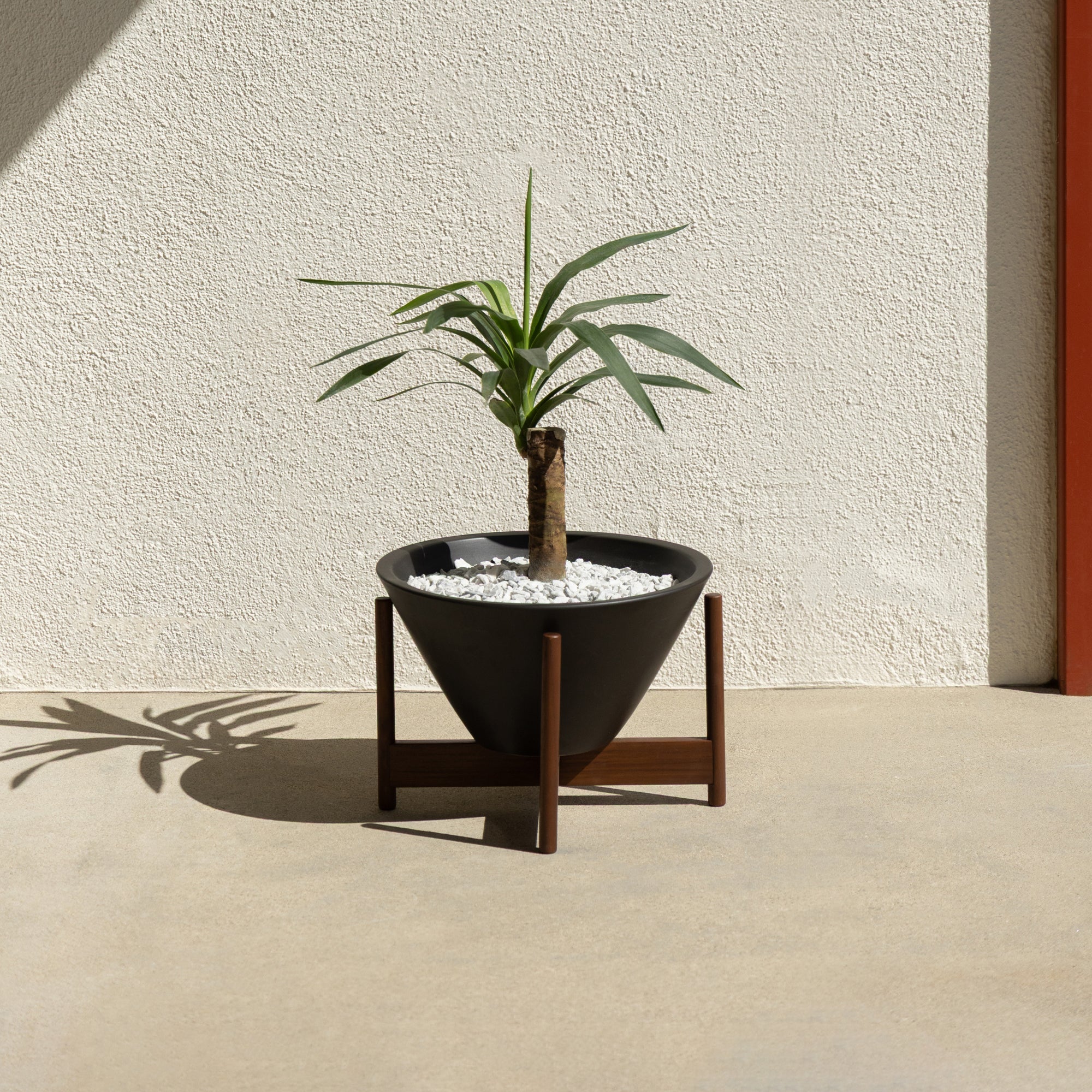 Case Study® Apex Planter
