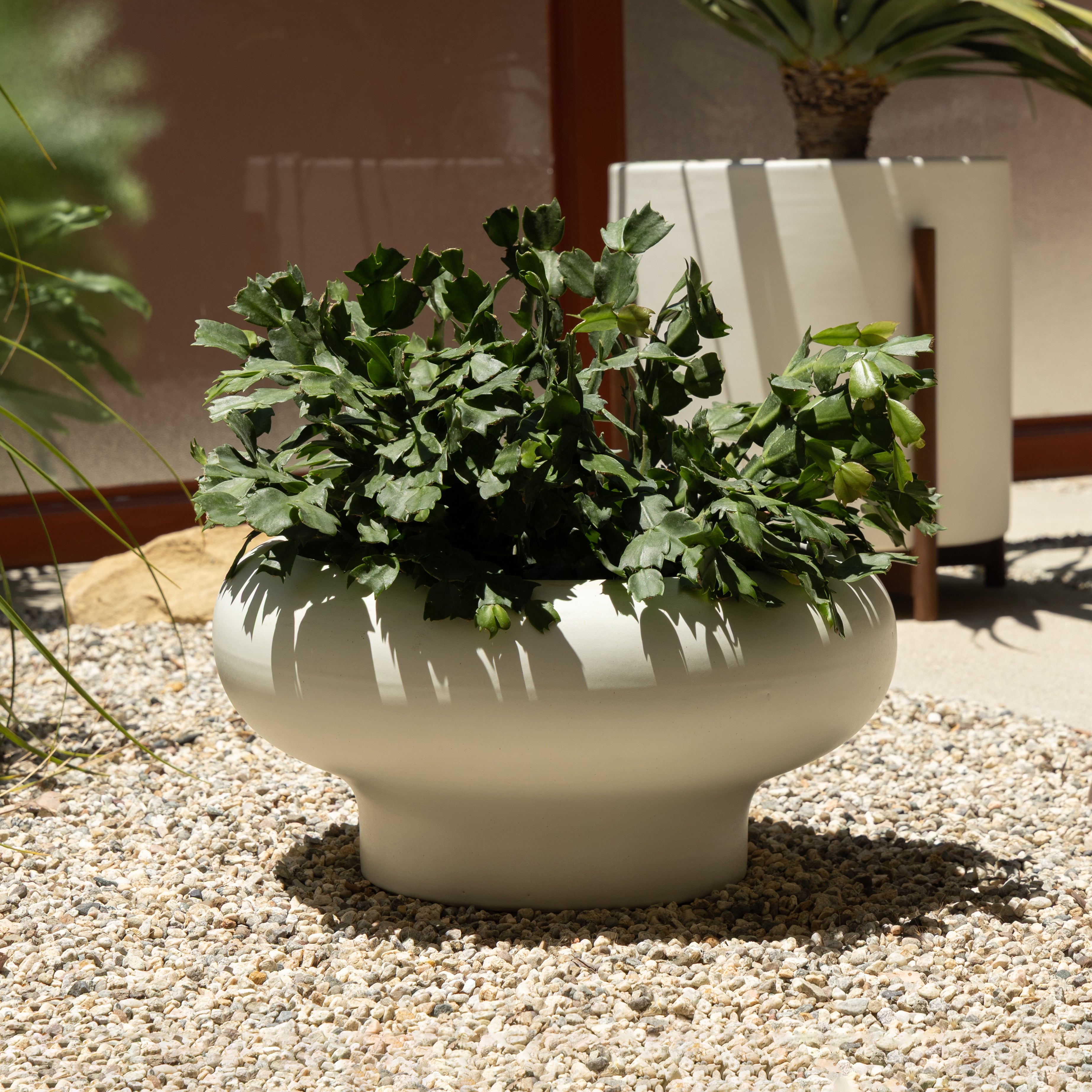 Case Study® Arroyo Planter