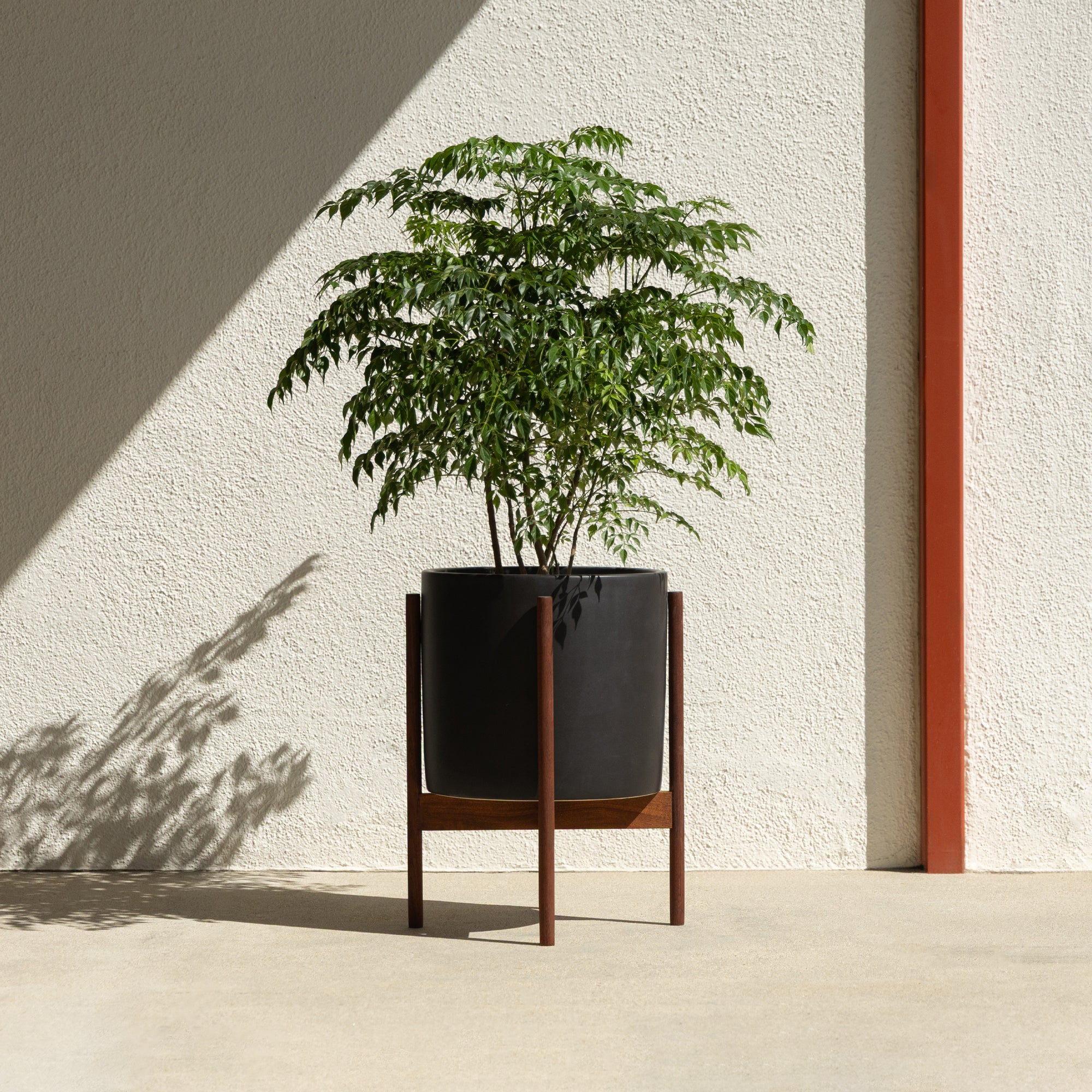 Case Study® Cylinder Planter