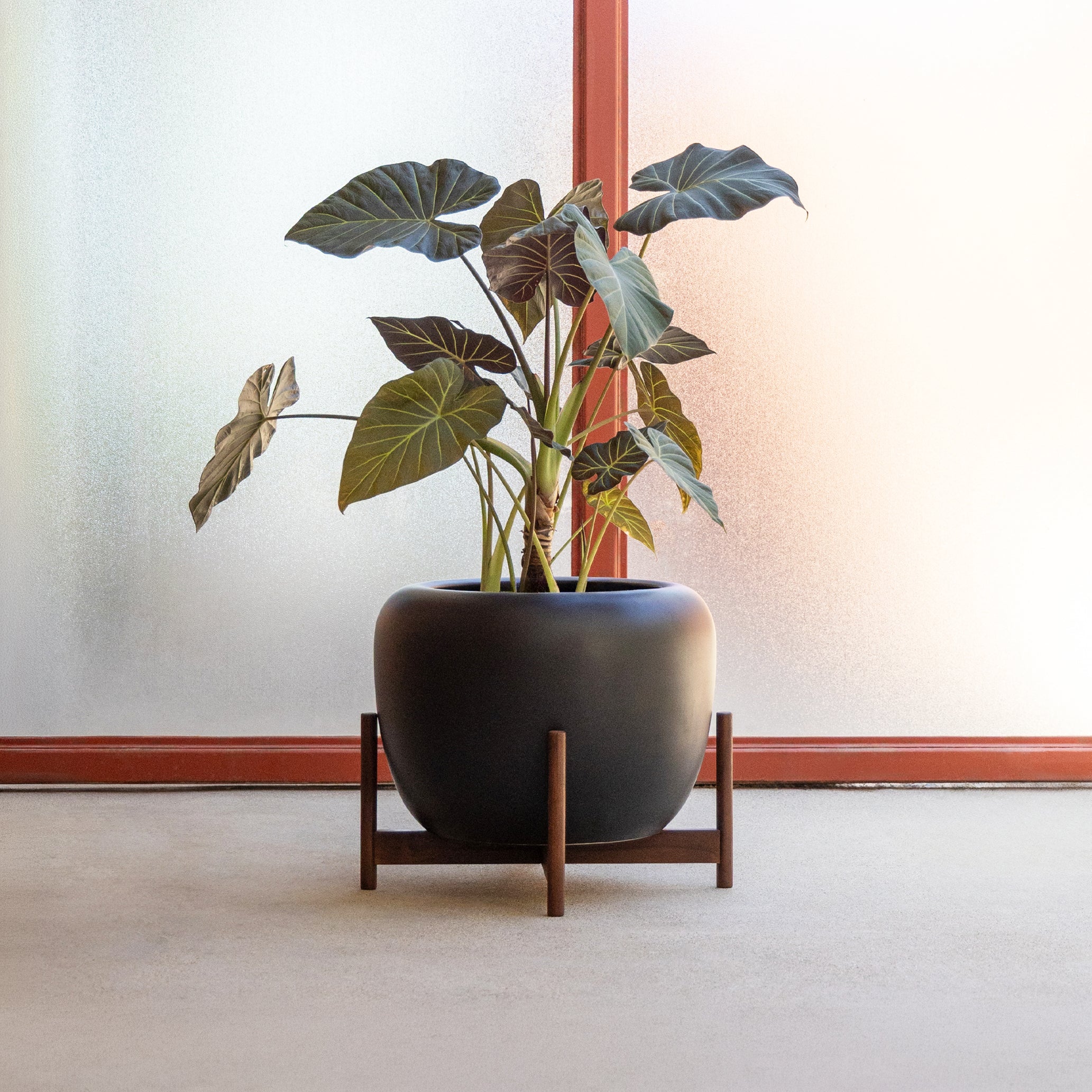 Case Study® Drum Planter