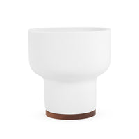 Case Study® Mushroom Planter