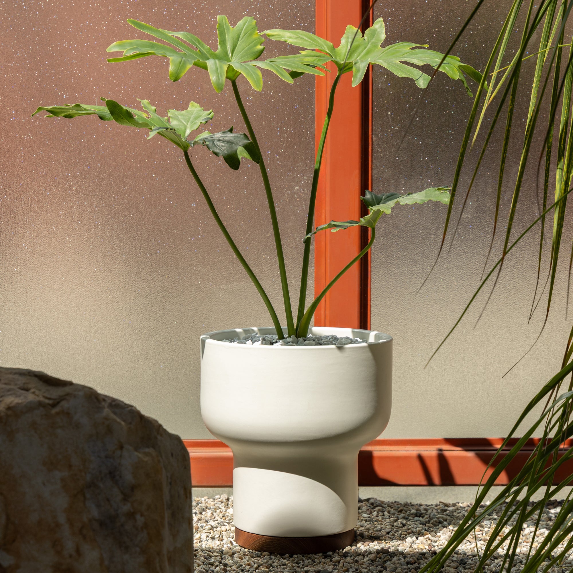 Case Study® Mushroom Planter