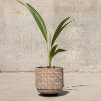 Case Study® Wave Planter