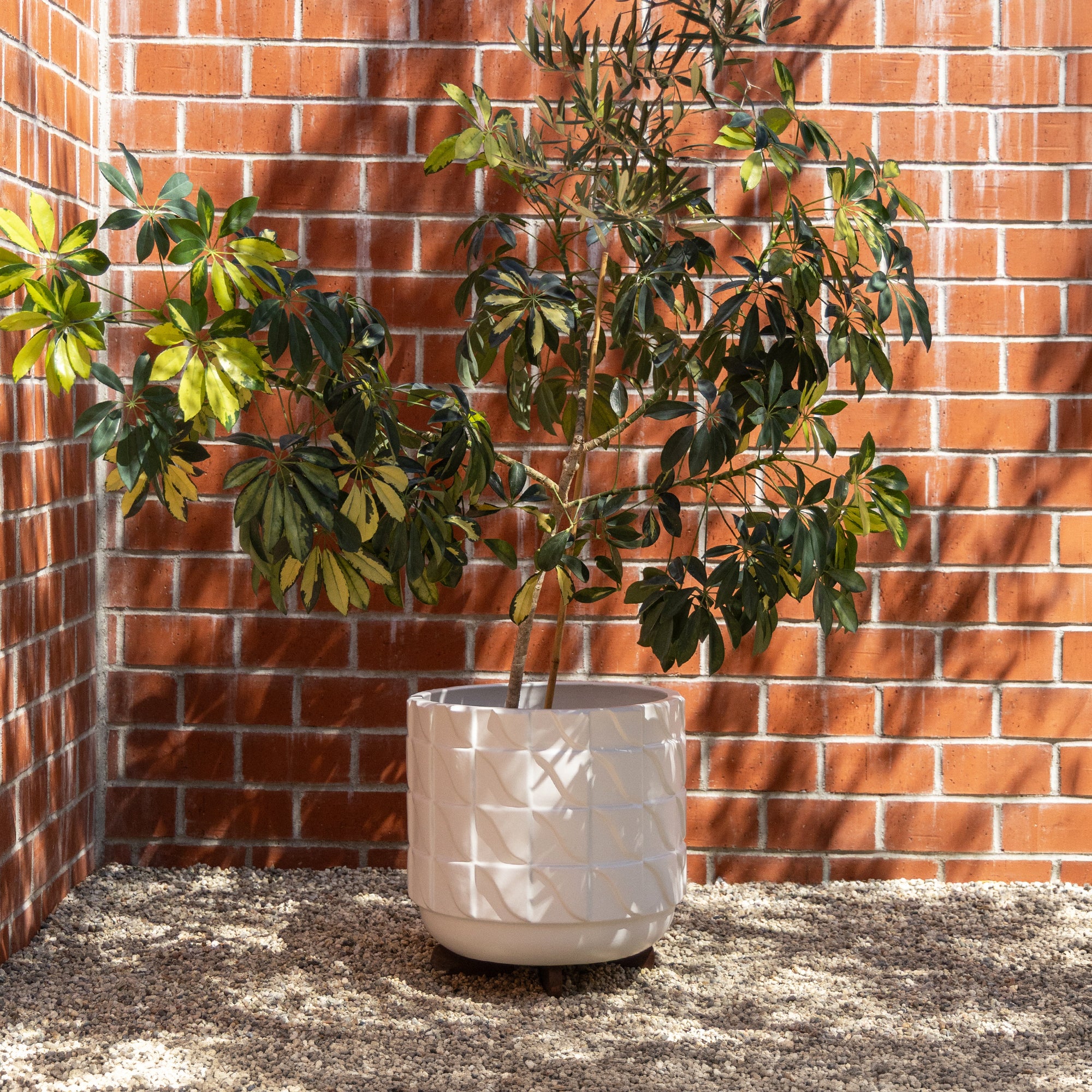 Case Study® Wave Planter
