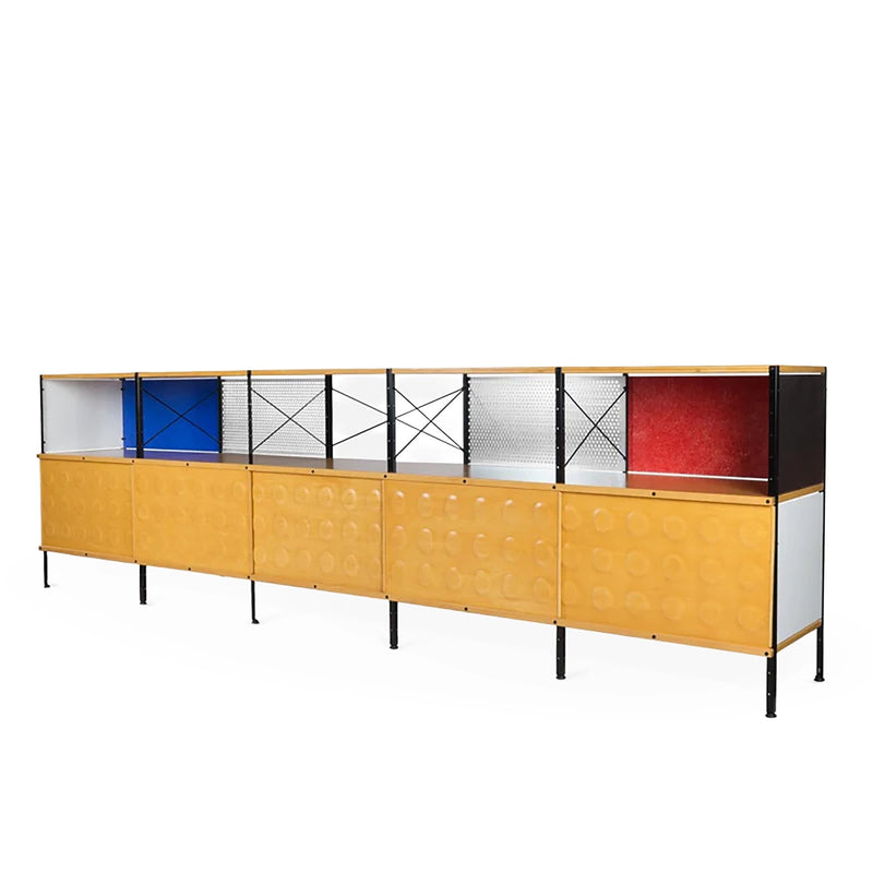 case-study®-custom-storage-unit-250