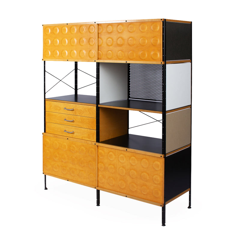 case-study®-custom-storage-unit-420