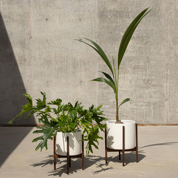 cylinder plant pot large Case Study® Cylinder Planter Bundle Small & Large – Modernica