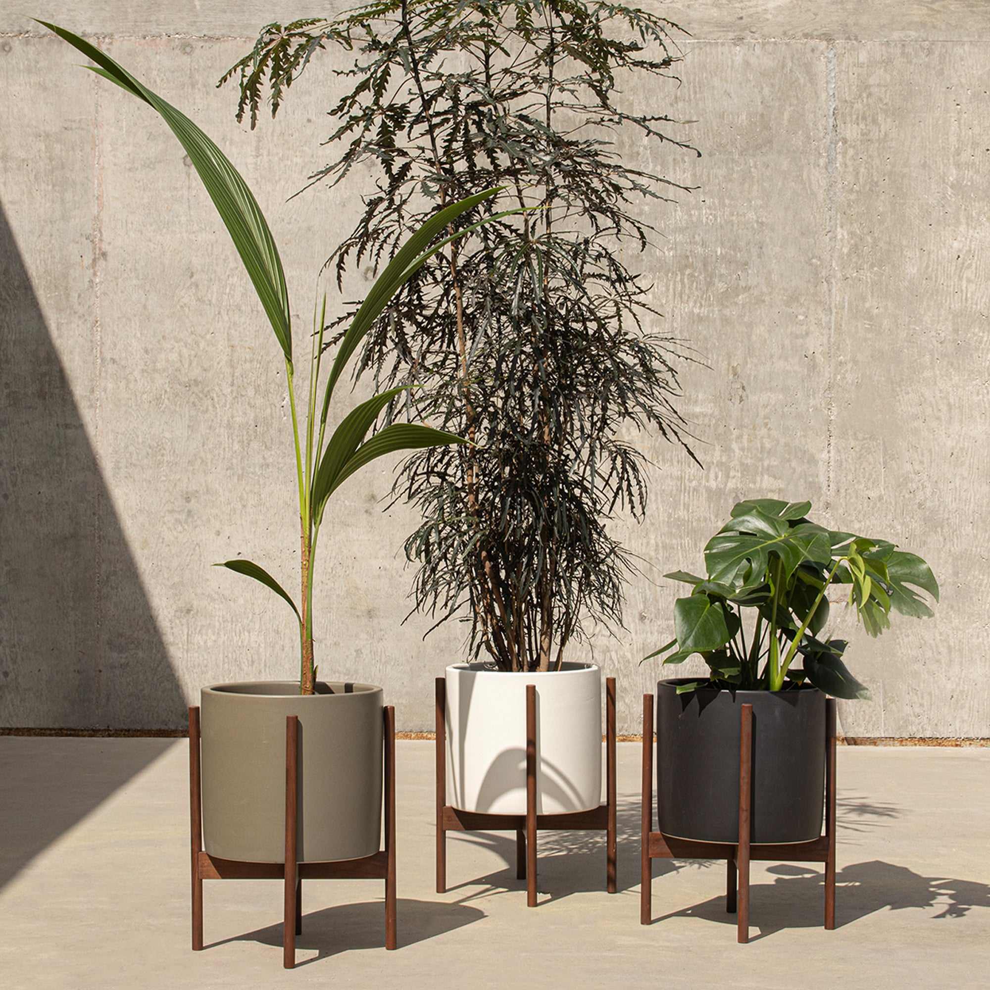 モダニカ　modernica セラミックシリンダー　ケーススタディ　プランター モダニカ modernica セラミックシリンダー ケーススタディ