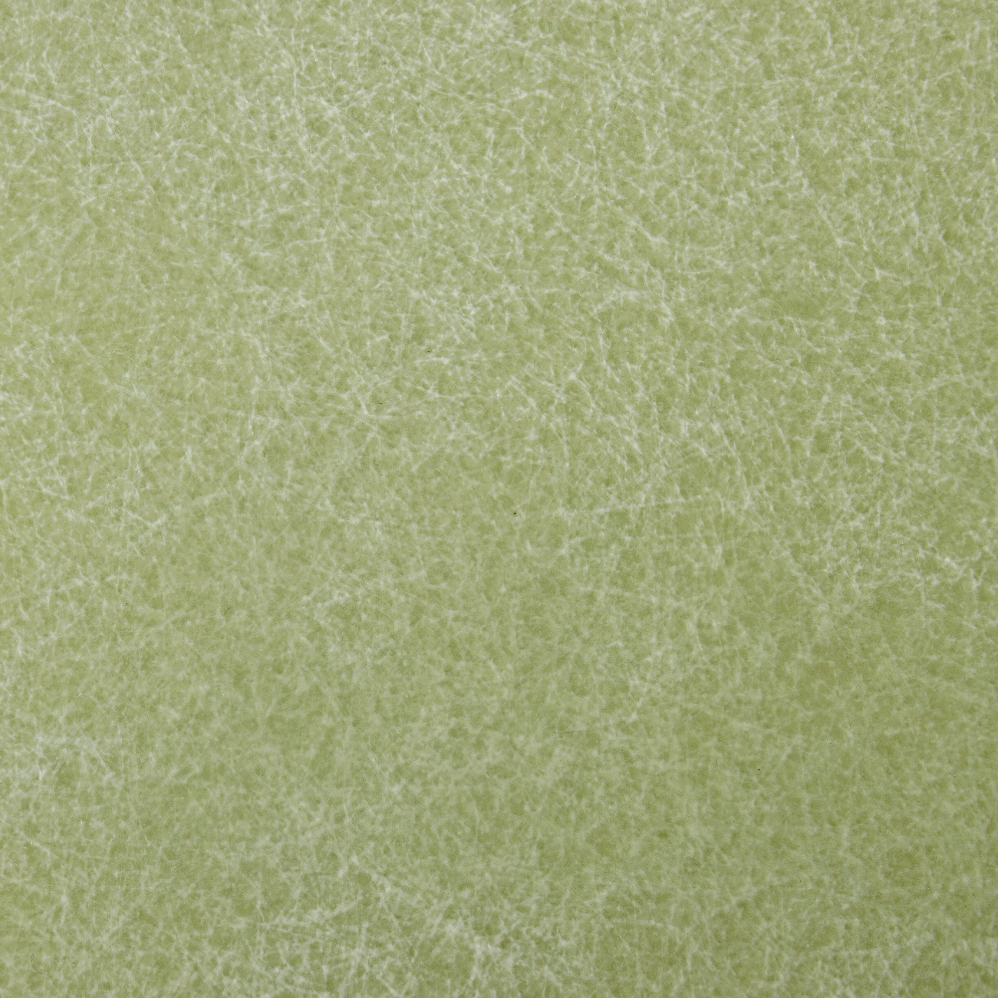 グラスファイバーセロリの見本