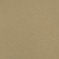 Fiberglass Oatmeal Swatch