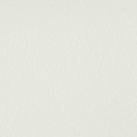 Fiberglass White Swatch