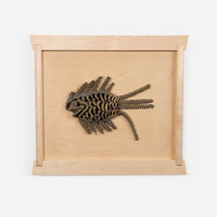 Brutalist Brass Piranha Wall Sculptures