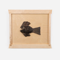 Brutalist Brass Piranha Wall Sculptures