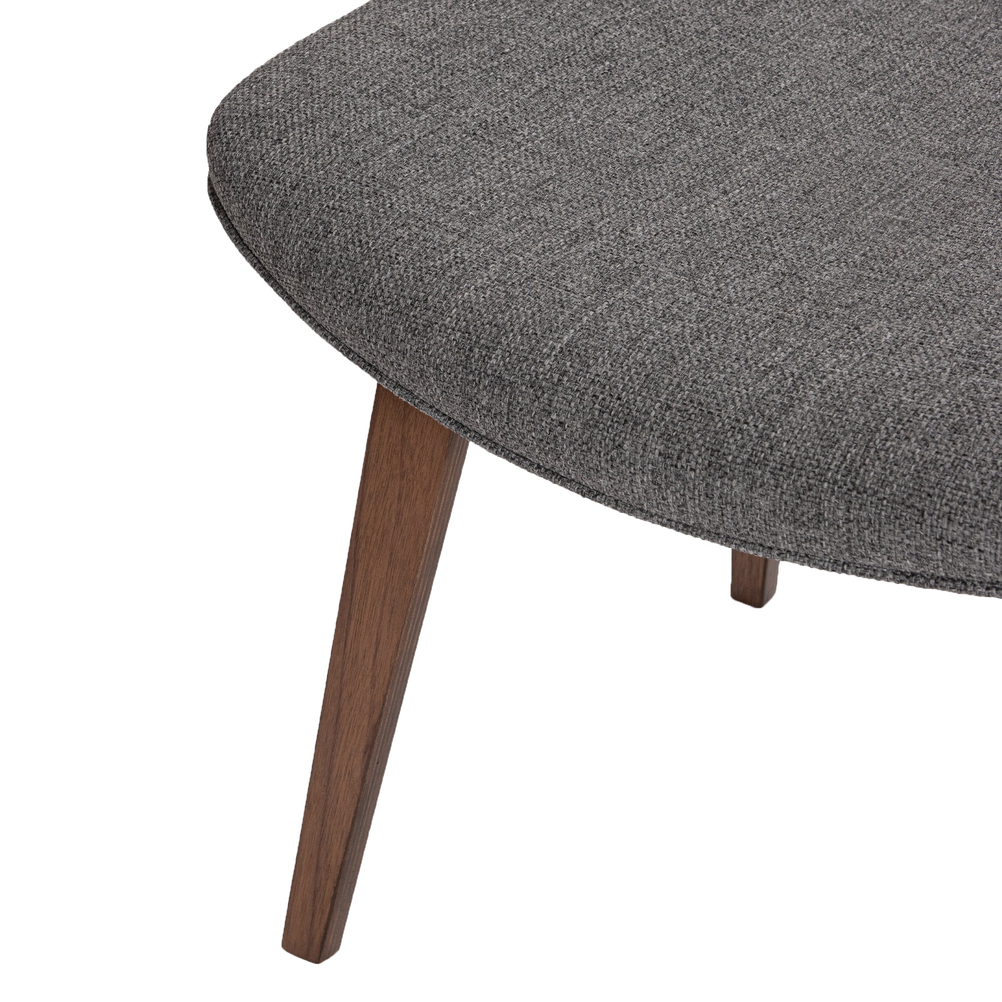 Modernica
