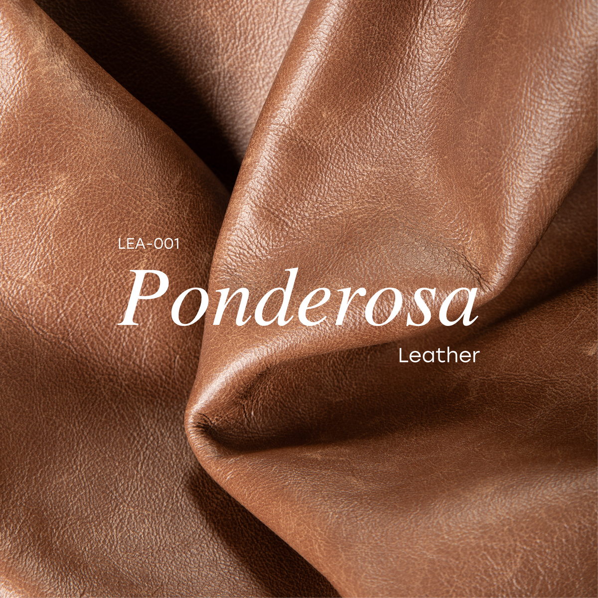Ponderosa Leather