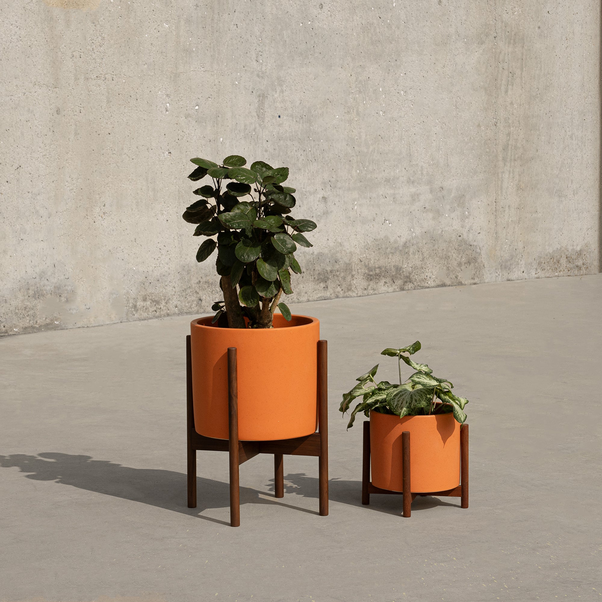 Case Study® Cylinder Planter Bundle Table Top & Small