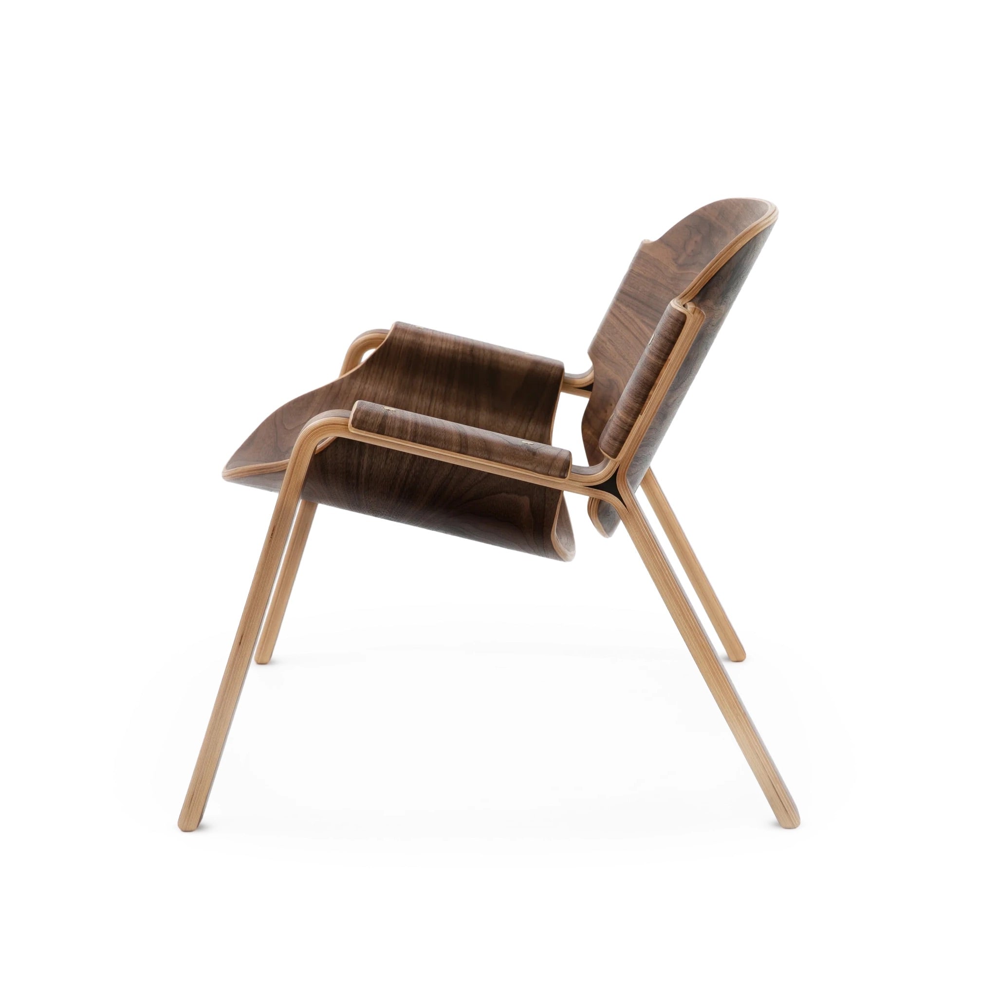 Oyster Chair