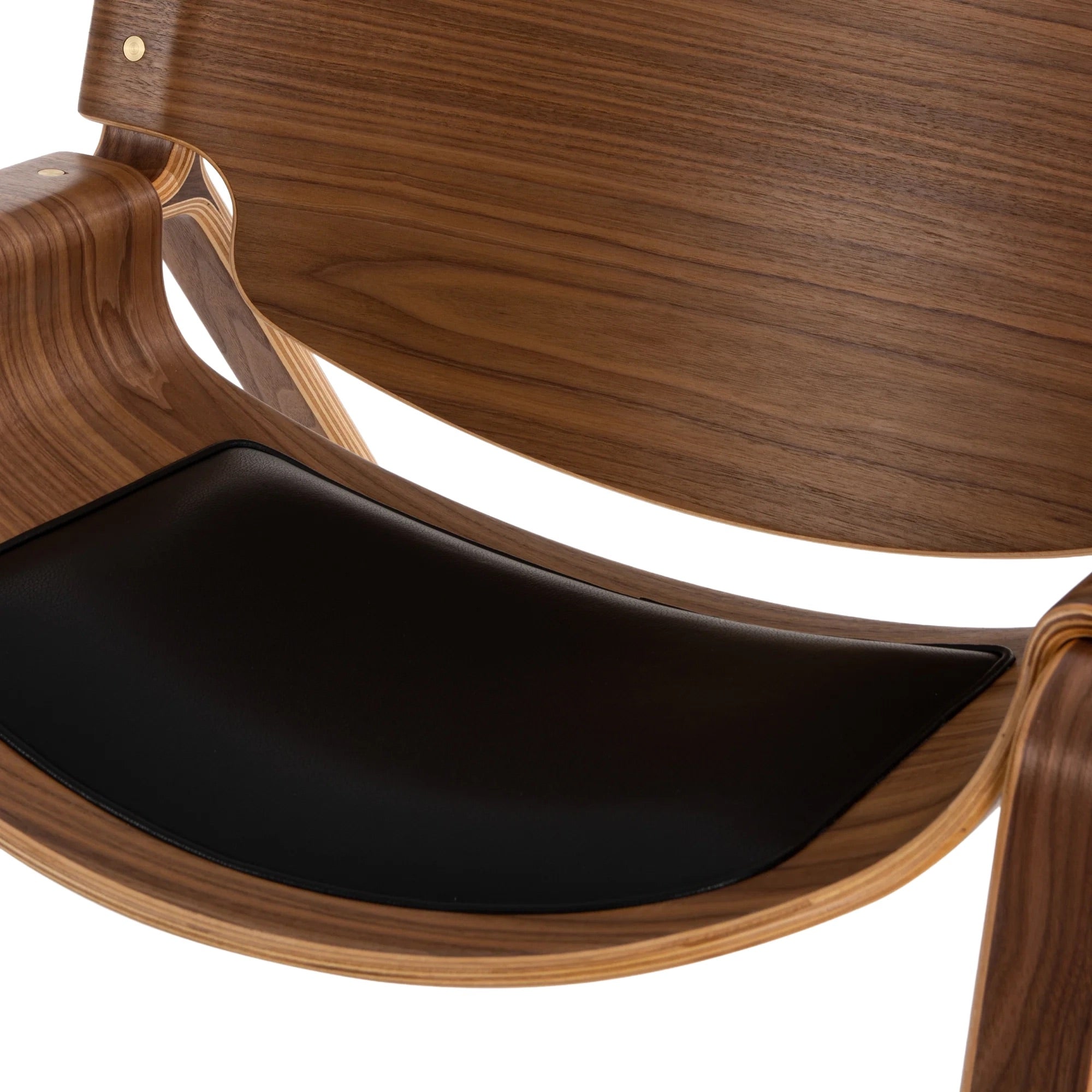 Oyster Chair