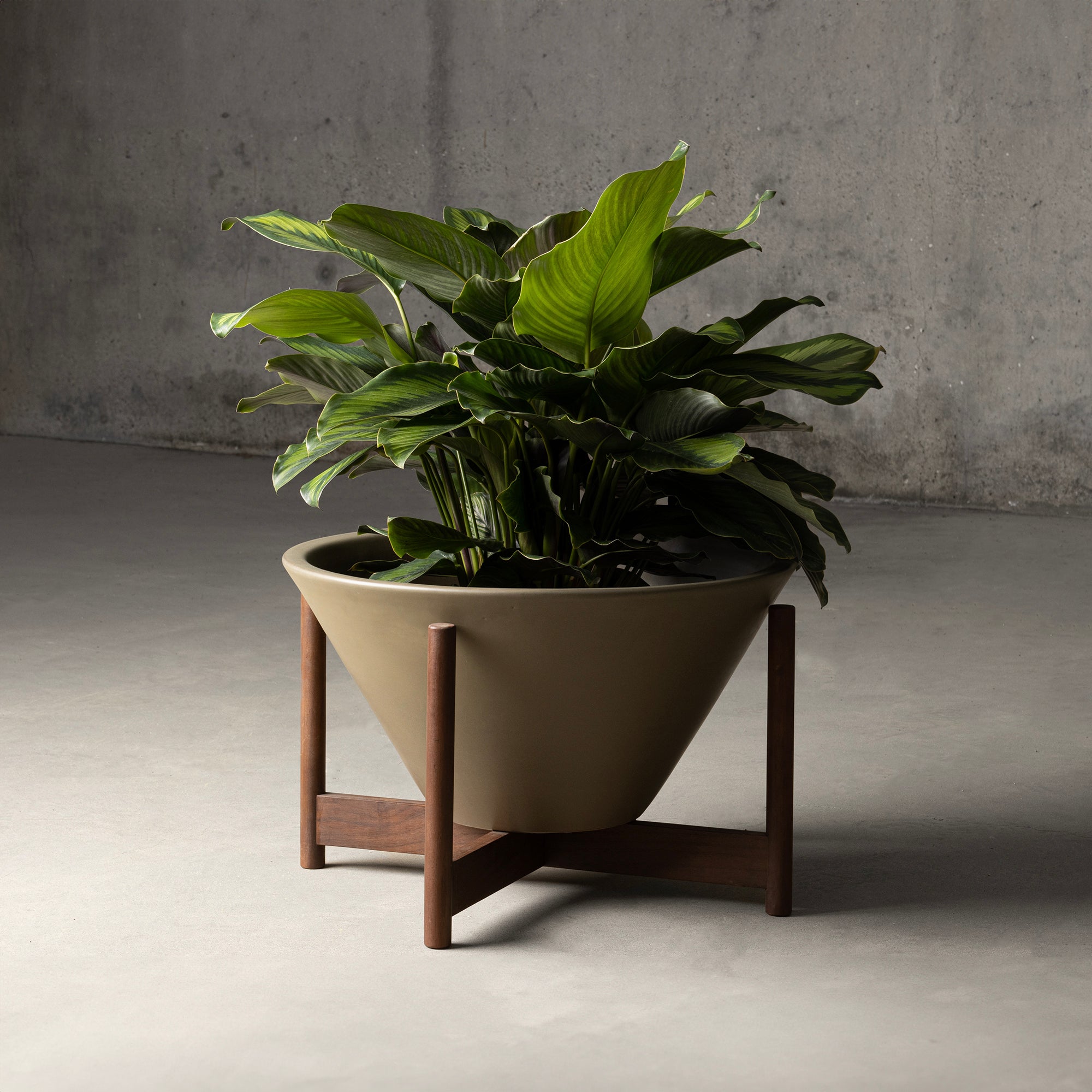 Product_CSC_0001_Medium-Apex-