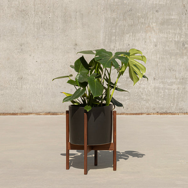 wood plant stand with ceramic pot Case Study® Ceramics Table Top Cylinder Planter With Stand – Modernica