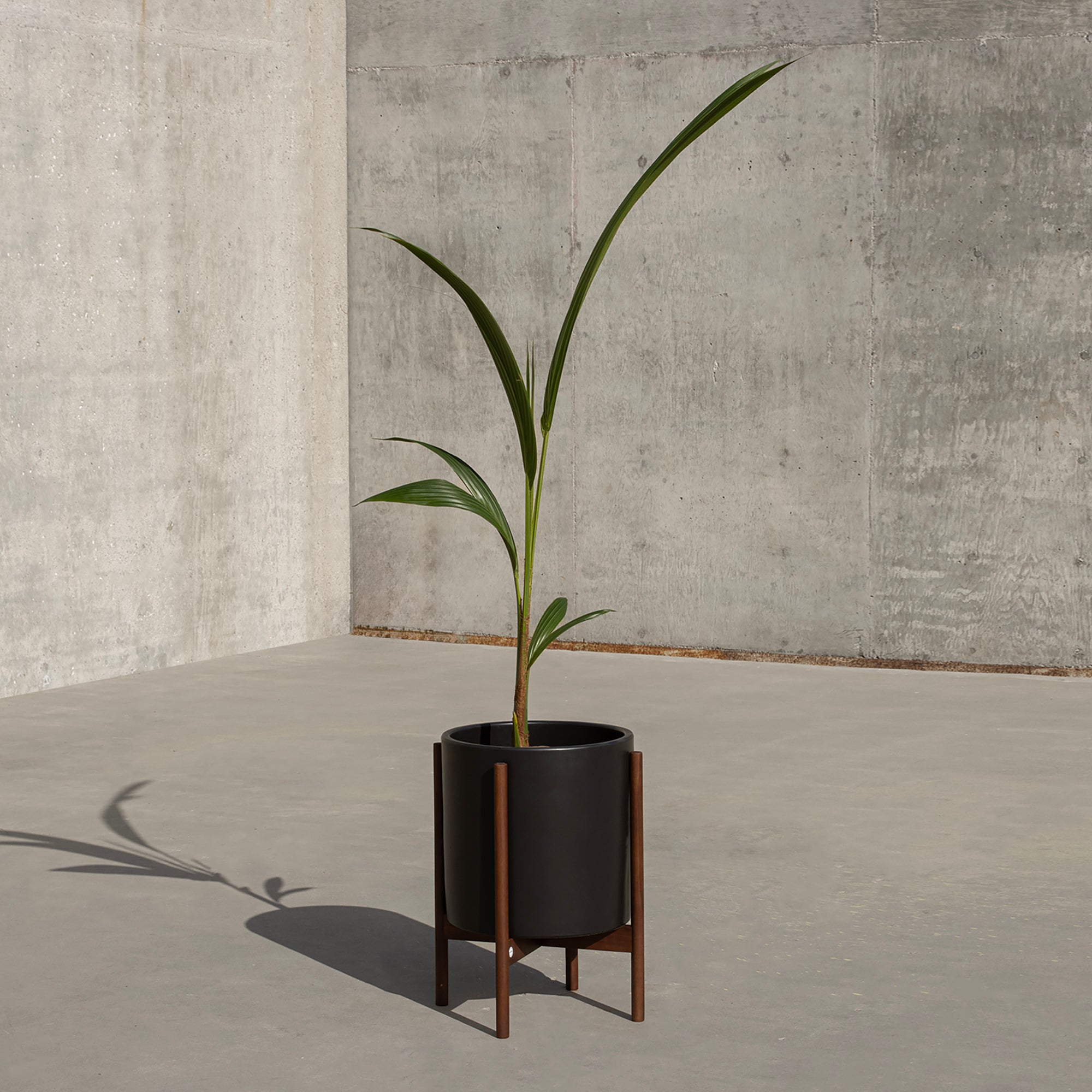 モダニカ modernica セラミックシリンダー ケーススタディ プランター