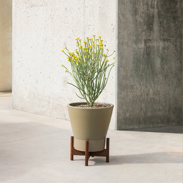case of the potted planter Case Study® Jewel Planter – Modernica