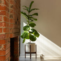 Case Study® Small Cylinder Planter