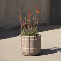 Case Study® Ceramics Large Wave Planter