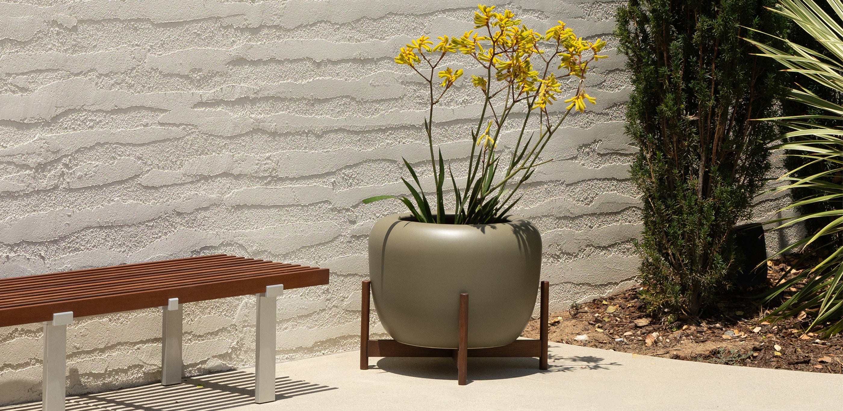 Case Study XL Drum Planter - Thumbnail 2