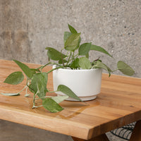 ケーススタディ® セラミックレイズドテーブルトップシリンダー