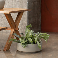 Case Study® Ceramics Raised Low Pan with Stand