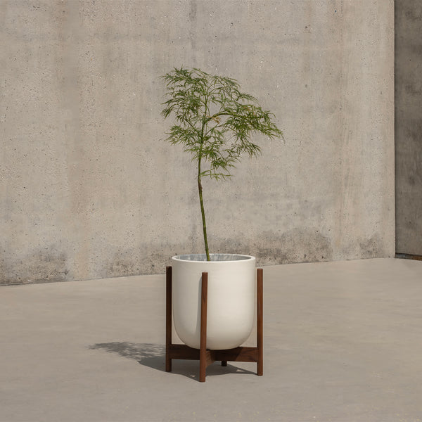 Case Study® Ceramics Small Bullet Planter With Stand – Modernica