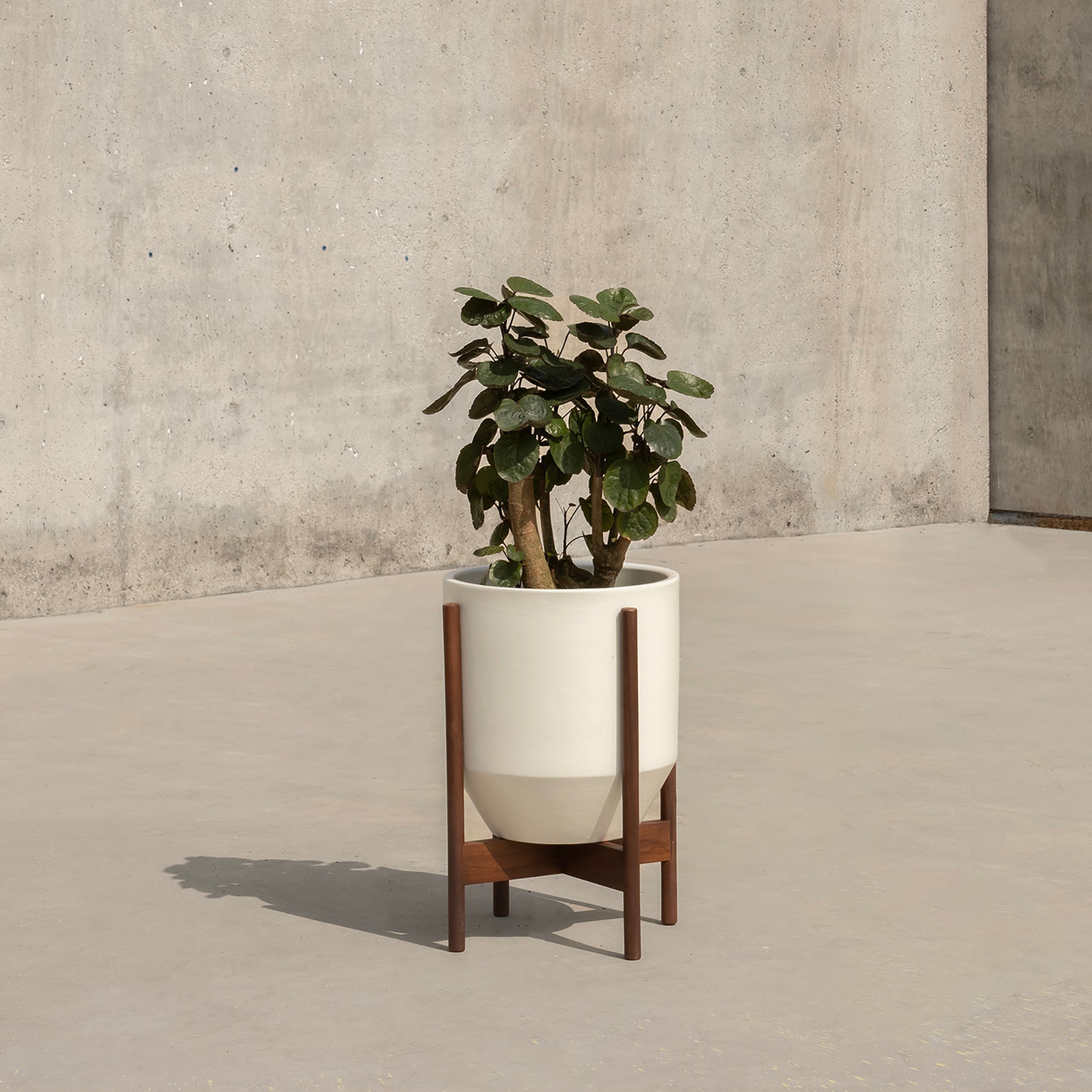 Case Study® Ceramics Small Hex with Stand – Modernica Inc