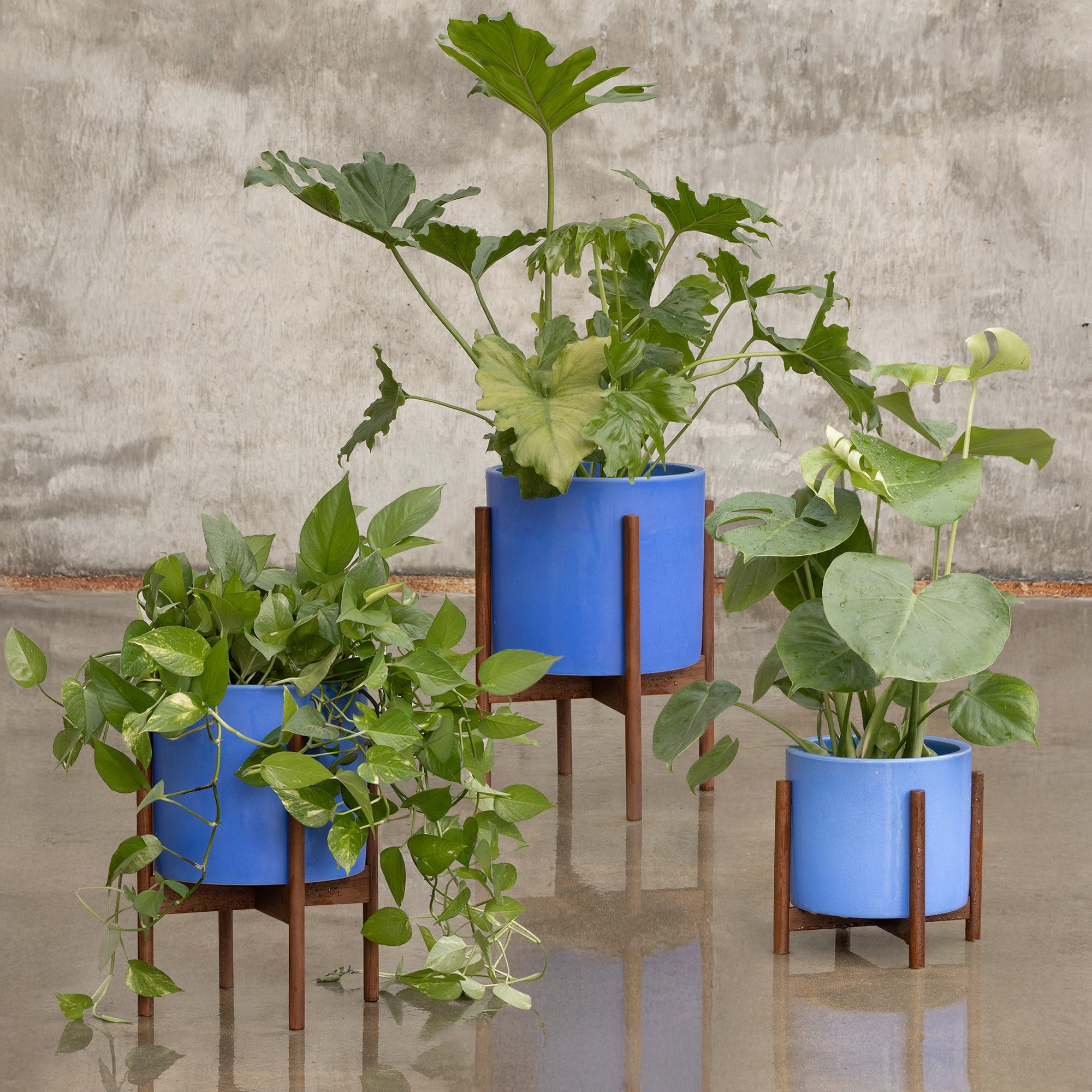 blue plant pot with stand Case Study® Cylinder Planter Trio – Modernica