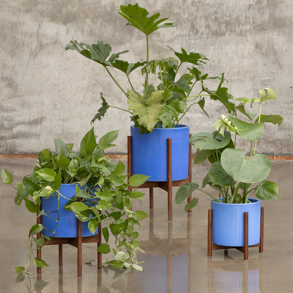 trio plant pots Case Study® Cylinder Planter Trio – Modernica