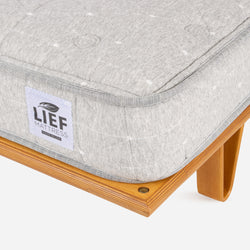 Case Study® Furniture Bentwood Bed & Lief Mattress Bundle