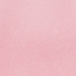Fiberglass Pink Swatch