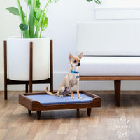 case-study®-solid-wood-pet-daybed-small